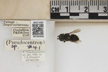 Media type: image;   Entomology 785942 Aspect: Labels